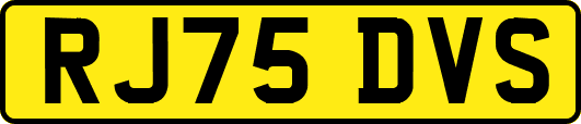 RJ75DVS
