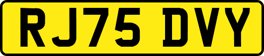 RJ75DVY