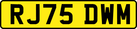 RJ75DWM