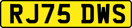 RJ75DWS