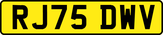 RJ75DWV
