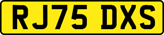 RJ75DXS