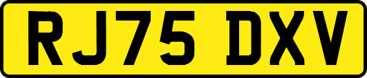 RJ75DXV