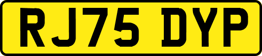 RJ75DYP