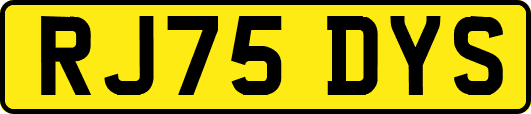 RJ75DYS