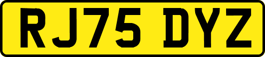 RJ75DYZ