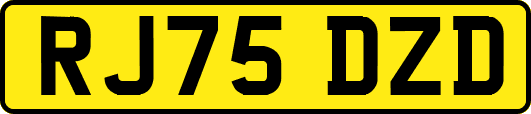 RJ75DZD