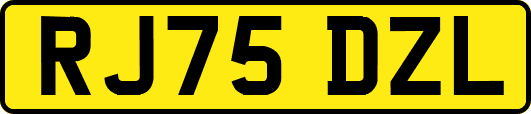RJ75DZL