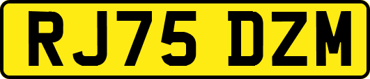 RJ75DZM