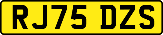 RJ75DZS
