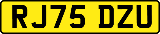 RJ75DZU