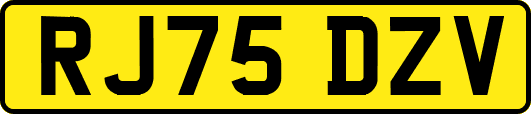 RJ75DZV