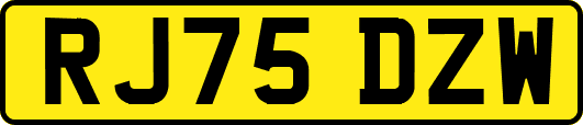 RJ75DZW