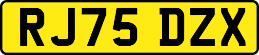 RJ75DZX