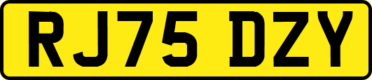 RJ75DZY