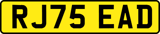 RJ75EAD