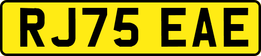 RJ75EAE
