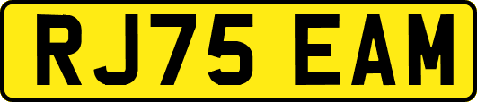 RJ75EAM