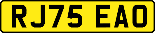 RJ75EAO