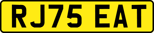 RJ75EAT