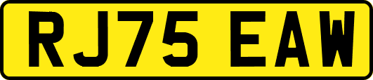 RJ75EAW