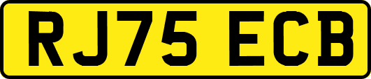 RJ75ECB