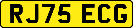 RJ75ECG