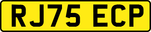 RJ75ECP