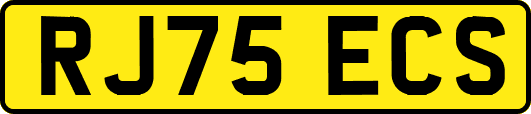 RJ75ECS