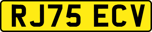 RJ75ECV