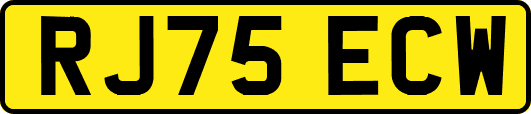 RJ75ECW