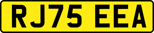 RJ75EEA