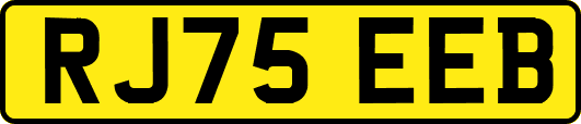 RJ75EEB