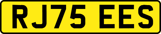 RJ75EES