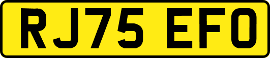 RJ75EFO