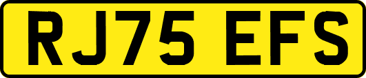 RJ75EFS