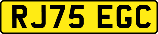RJ75EGC