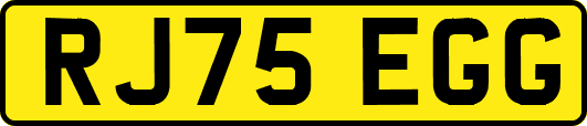 RJ75EGG