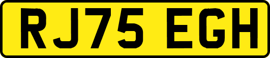 RJ75EGH