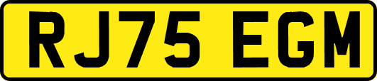 RJ75EGM