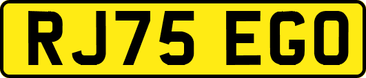 RJ75EGO