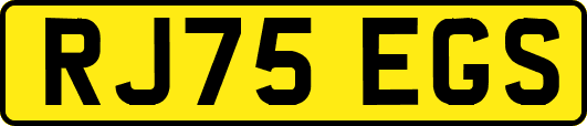 RJ75EGS