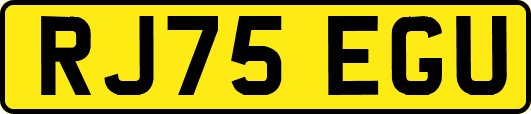 RJ75EGU