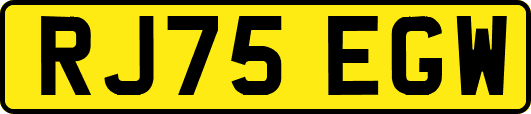 RJ75EGW