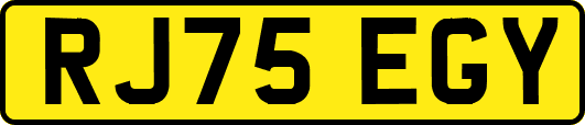 RJ75EGY
