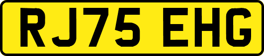 RJ75EHG