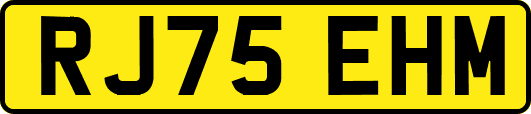 RJ75EHM