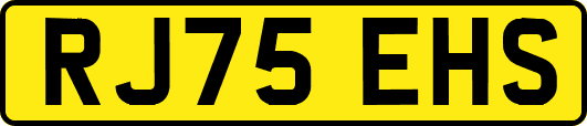 RJ75EHS