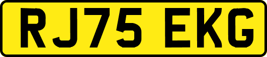RJ75EKG