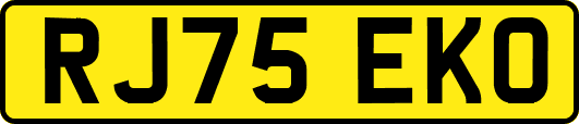 RJ75EKO